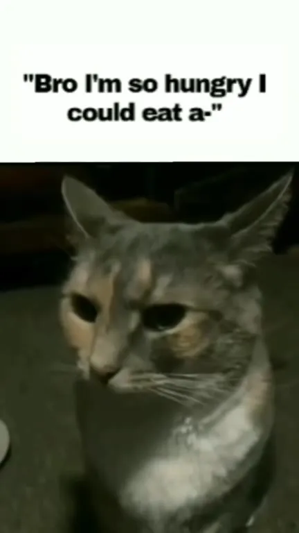 Bro Could Eat a Cat