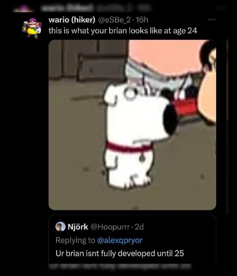 Brian at Age 24