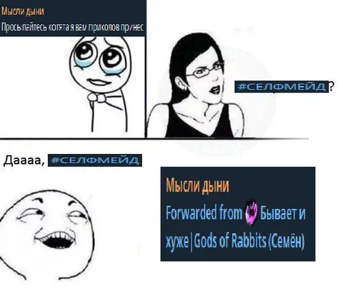 Котята и приколы от дыни