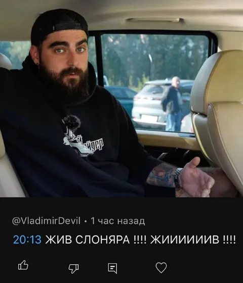 Жив слоняра