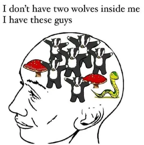 Badgers Inside Me
