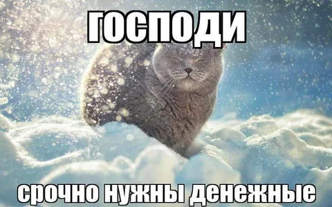 Господи, срочно нужны денежные