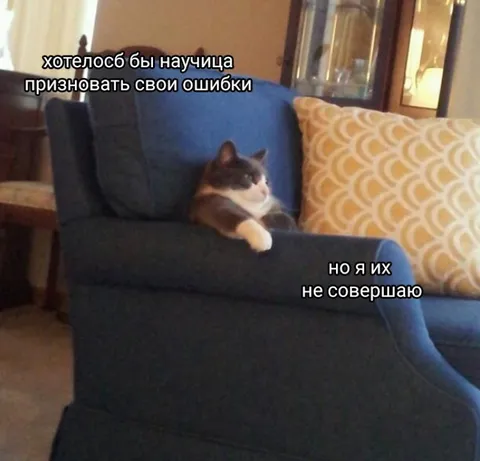 Кот, который не учится на ошибках
