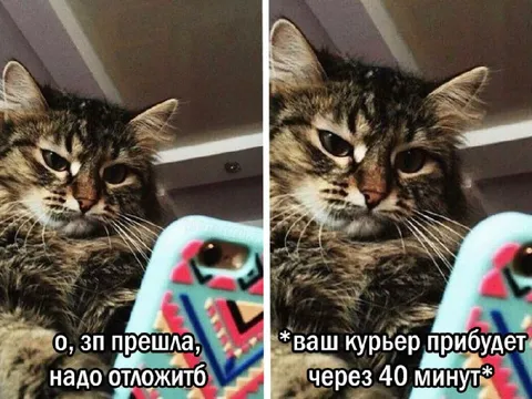 Зарплата пришла — курьер уже рядом
