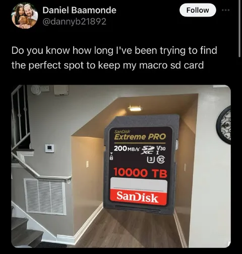 Perfect Spot for a 10000 TB SD Card