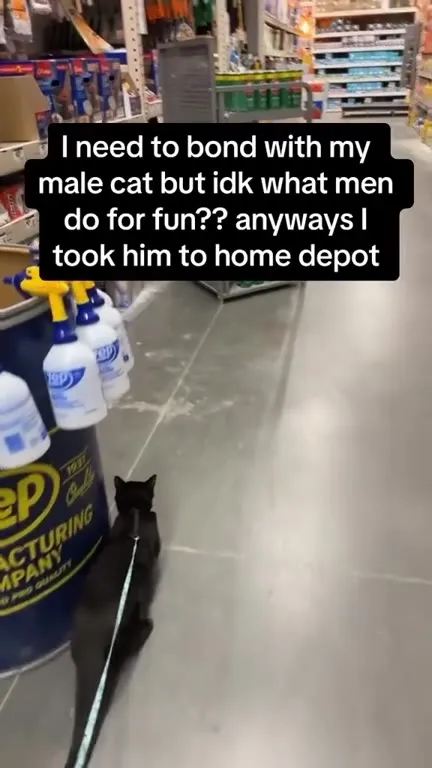 Cat’s Home Depot Adventure