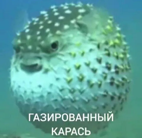 Газированный карась
