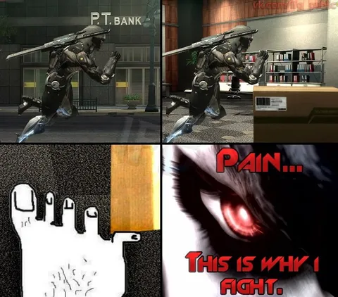 Pain Is Why I Fight