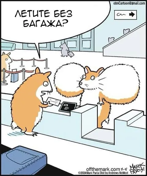 Летите без багажа?