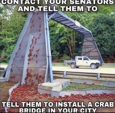 Crab Bridge Advocacy