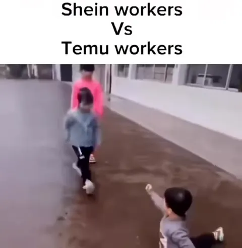 Shein Workers vs Temu Workers