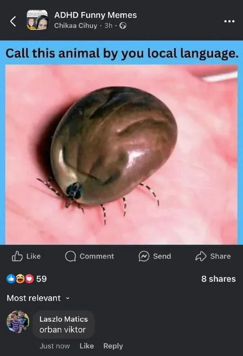Call This Animal Locally