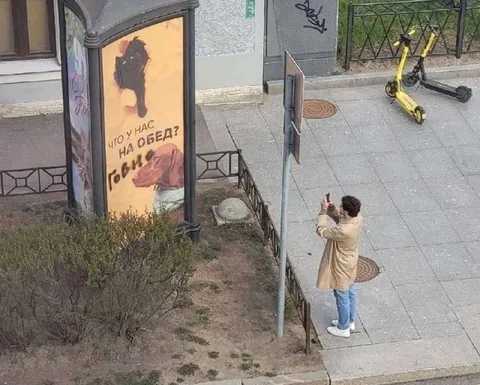 Что у нас на обед? Голуби