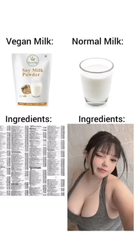 Vegan Milk vs Normal Milk Ingredients