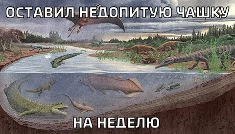 Оставил чашку на неделю