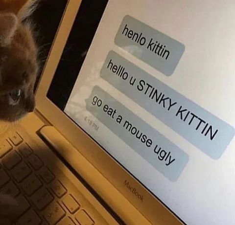 Stinky Kittin Chat