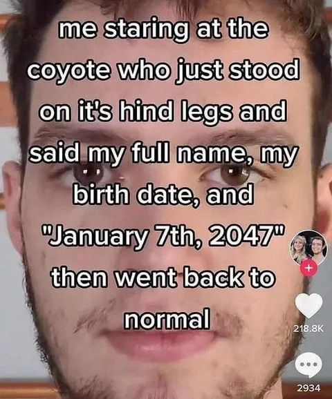 Coyote Predicts the Future