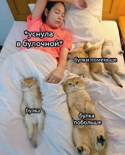 Уснула в булочной среди булок