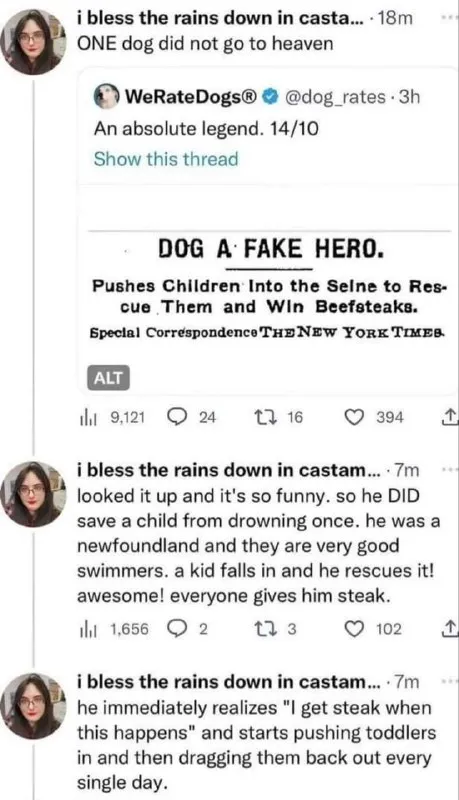 Dog Gets Steak for Saving Children