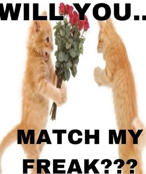Will You Match My Freak