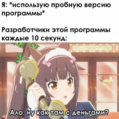 Разработчики звонят каждые десять секунд