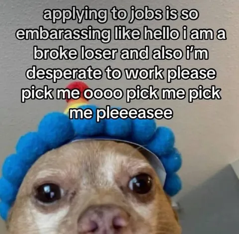 Desperate Job Application Dog