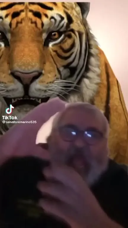 Мужчина и тигр за спиной