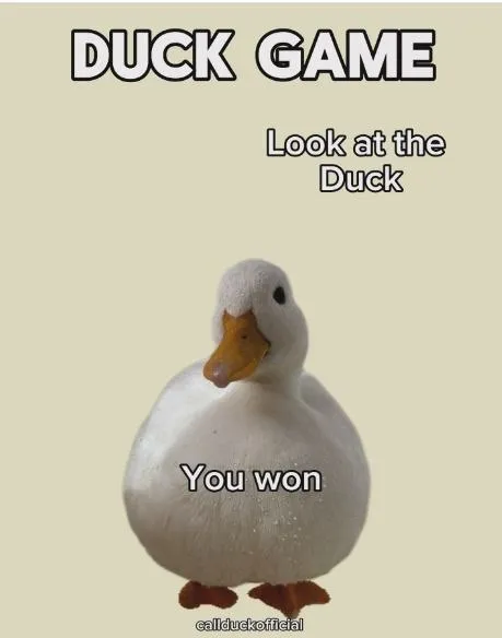 Duck Game You Won