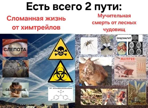 Два пути: химтрейлы или лесные чудовища