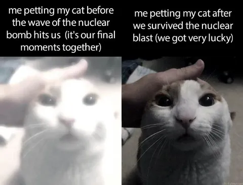 Petting Cat Before and After Nuclear Blast