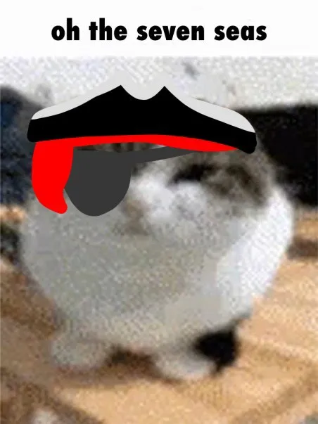 Oh the Seven Seas Cat