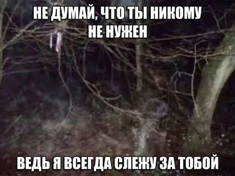Я всегда слежу за тобой