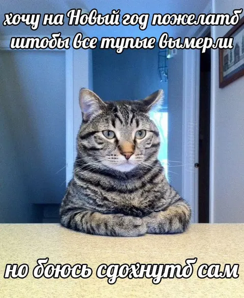 Кот желает вымирания тупых