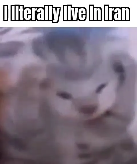 Cat Literally Lives in Iran