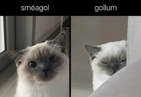 Sméagol and Gollum Cats