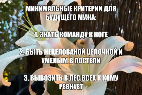 Минимальные критерии будущего мужа