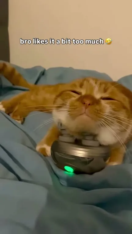 Cat Enjoys the Vibration Too Much