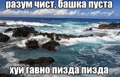 Разум чист, башка пуста