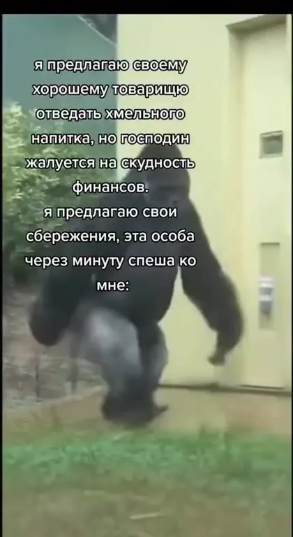 Сбережения спешат к товарищу