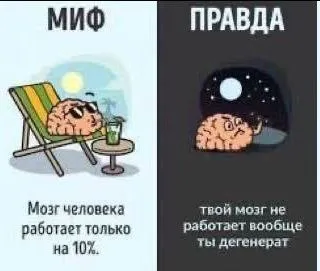 Миф и правда о мозге