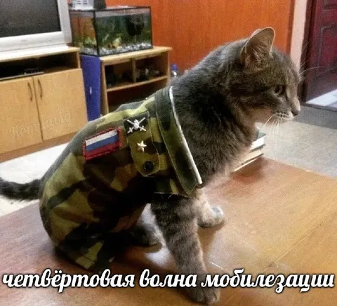 Четвёртая волна мобилизации