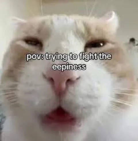 Trying to Fight the Eepiness