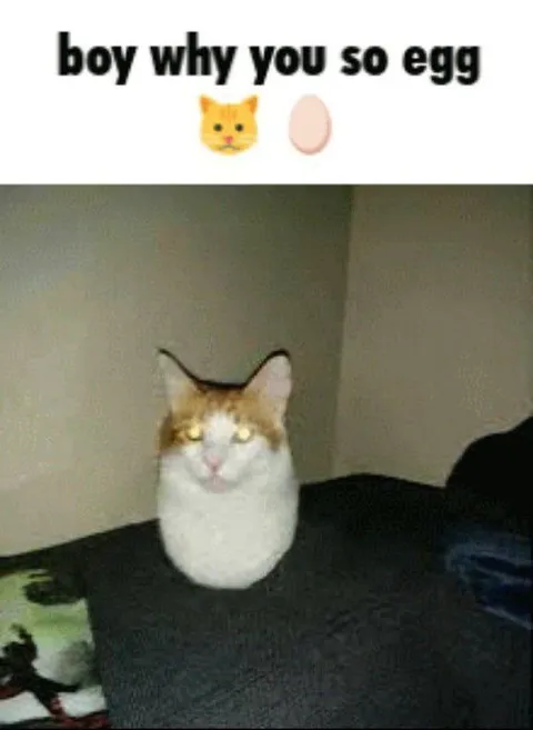 Boy Why You So Egg