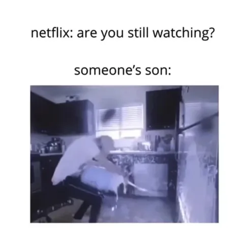 Netflix Are You Still Watching