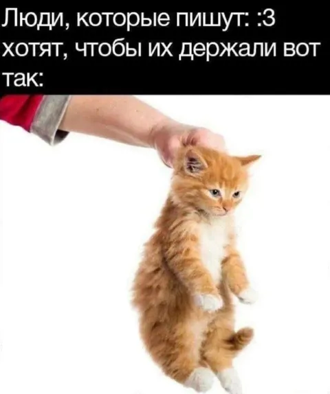 Люди, которые пишут :3