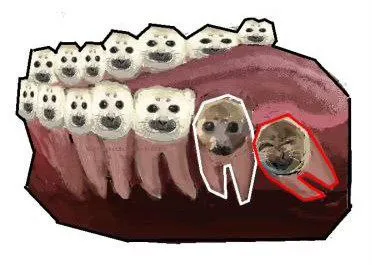 Мясо с лицами