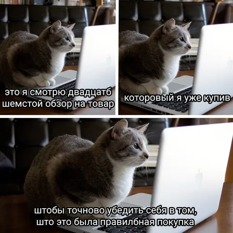 Двадцать шестой обзор товара