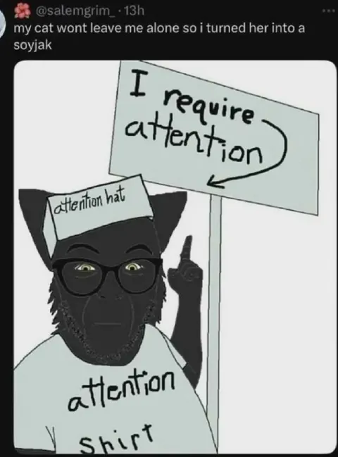 Cat Turned Into an Attention Soyjak