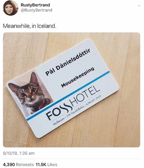 Meanwhile in Iceland Fosshotel