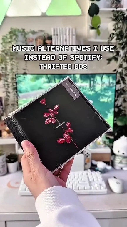 Music Alternatives Instead of Spotify